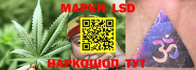 ГАЛЛЮЦИНОГЕННЫЕ ГРИБЫ Заводоуковск